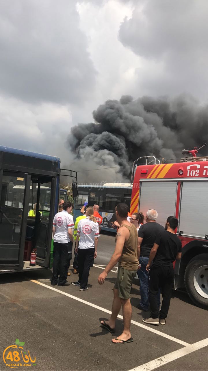 firbus eastyaffa (23).jpg